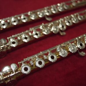 OH WHEN THE SAINTS GO MARCHING IN ( flute trio)